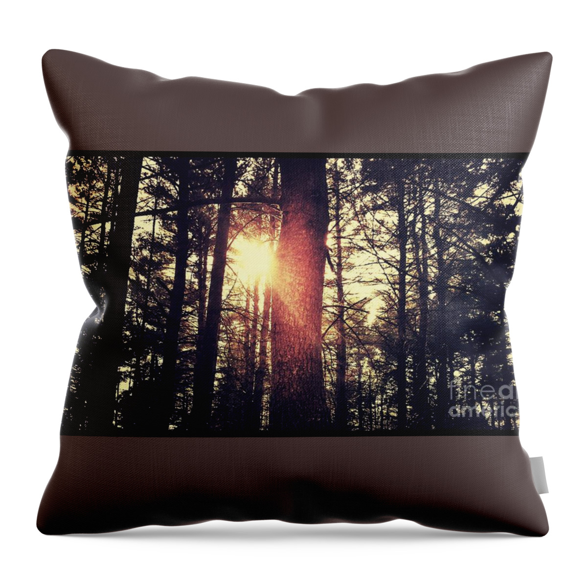 Canada Throw Pillow featuring the photograph Fall of Light by RicharD Murphy