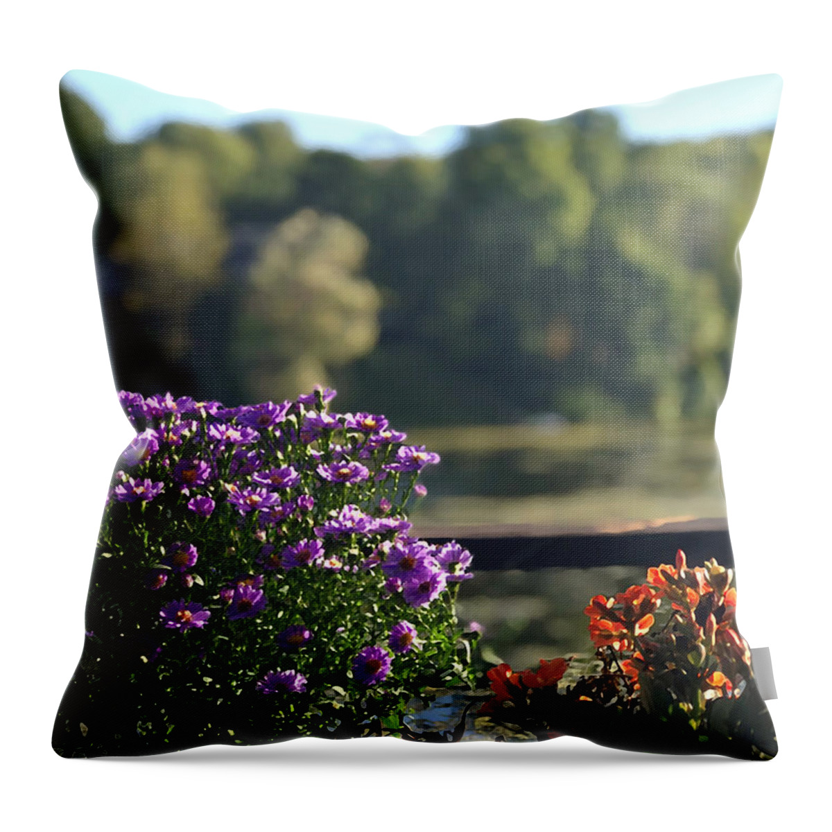 Flowers Throw Pillow featuring the photograph Fall Porch by Tom Johnson