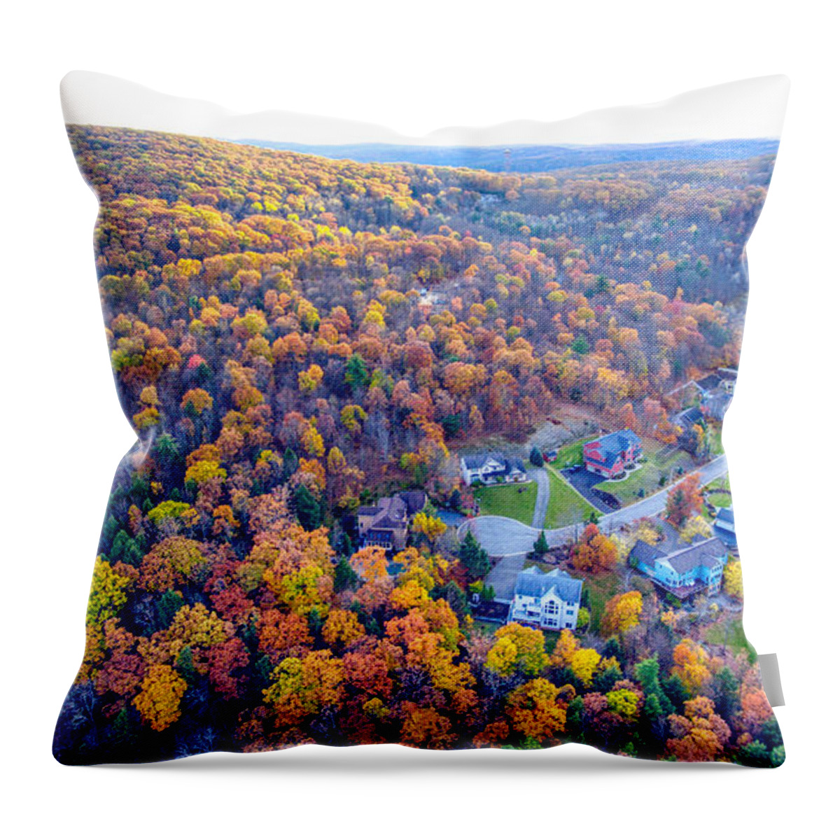 New York Throw Pillow featuring the photograph Fall Trees by Anthony Giammarino