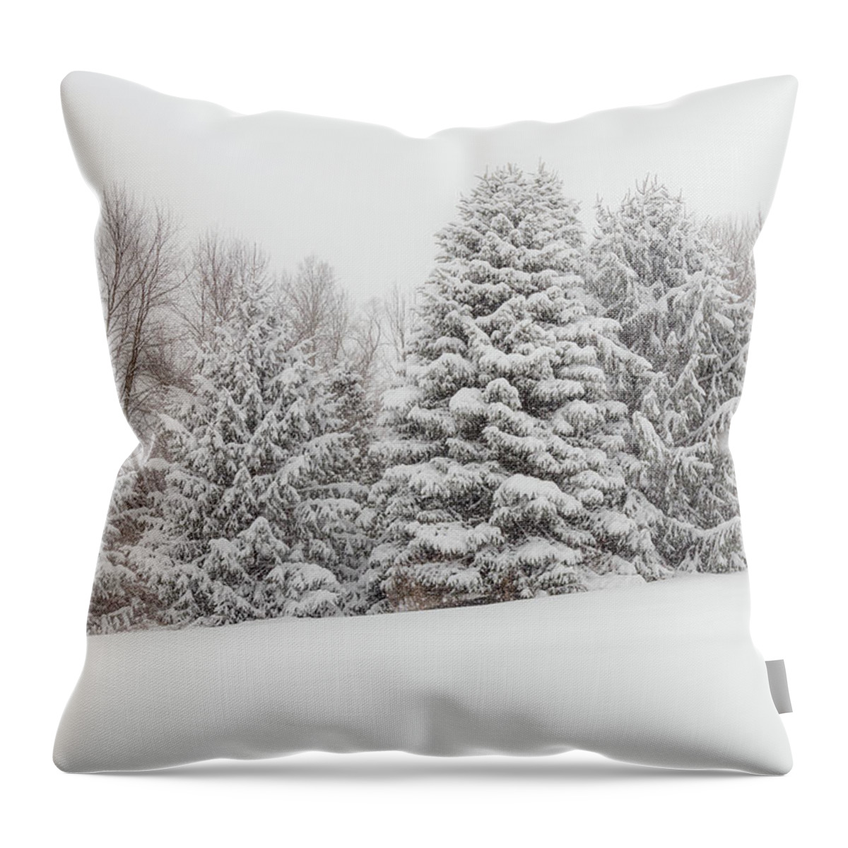 Pine Throw Pillow featuring the photograph Fallbrook Pines by Rod Best