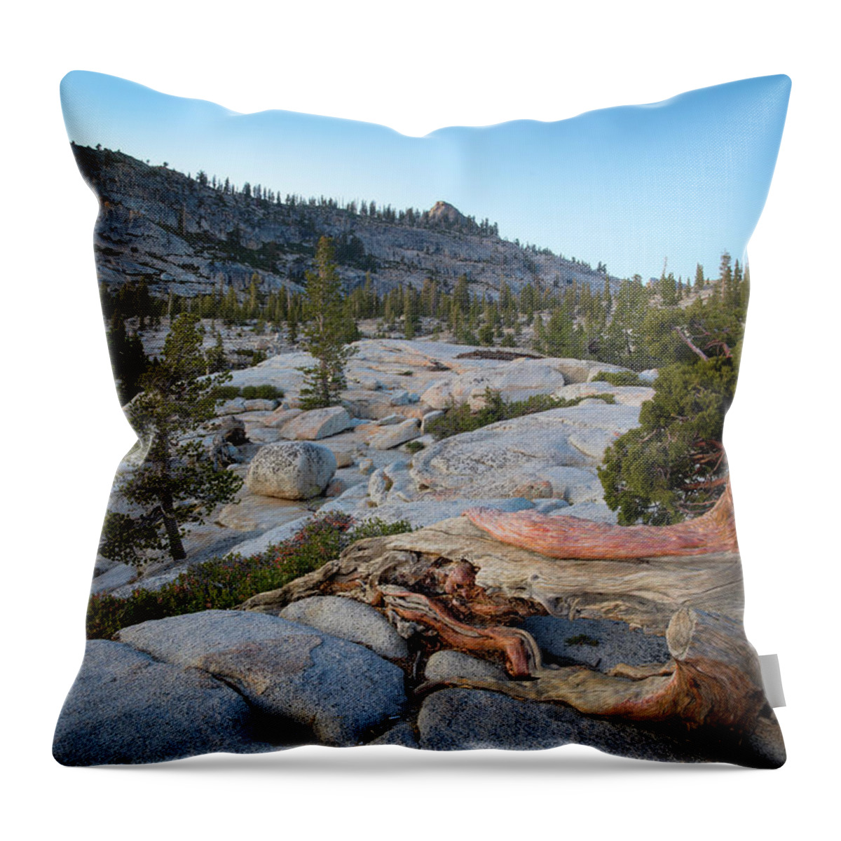 Tranquility Throw Pillow featuring the photograph Fallen by Sean Duan
