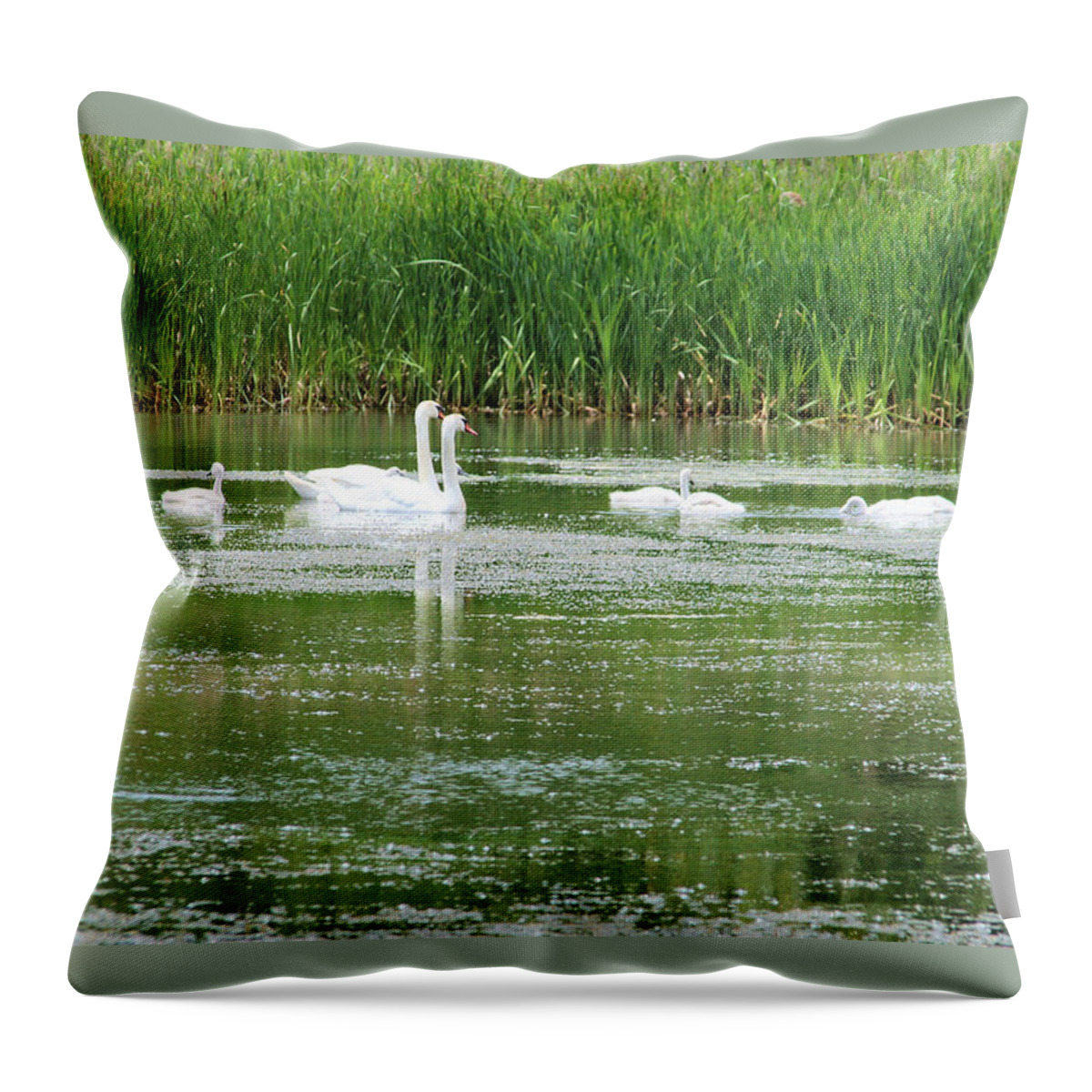 Swans Throw Pillow featuring the photograph Family of Swans by Laura Smith