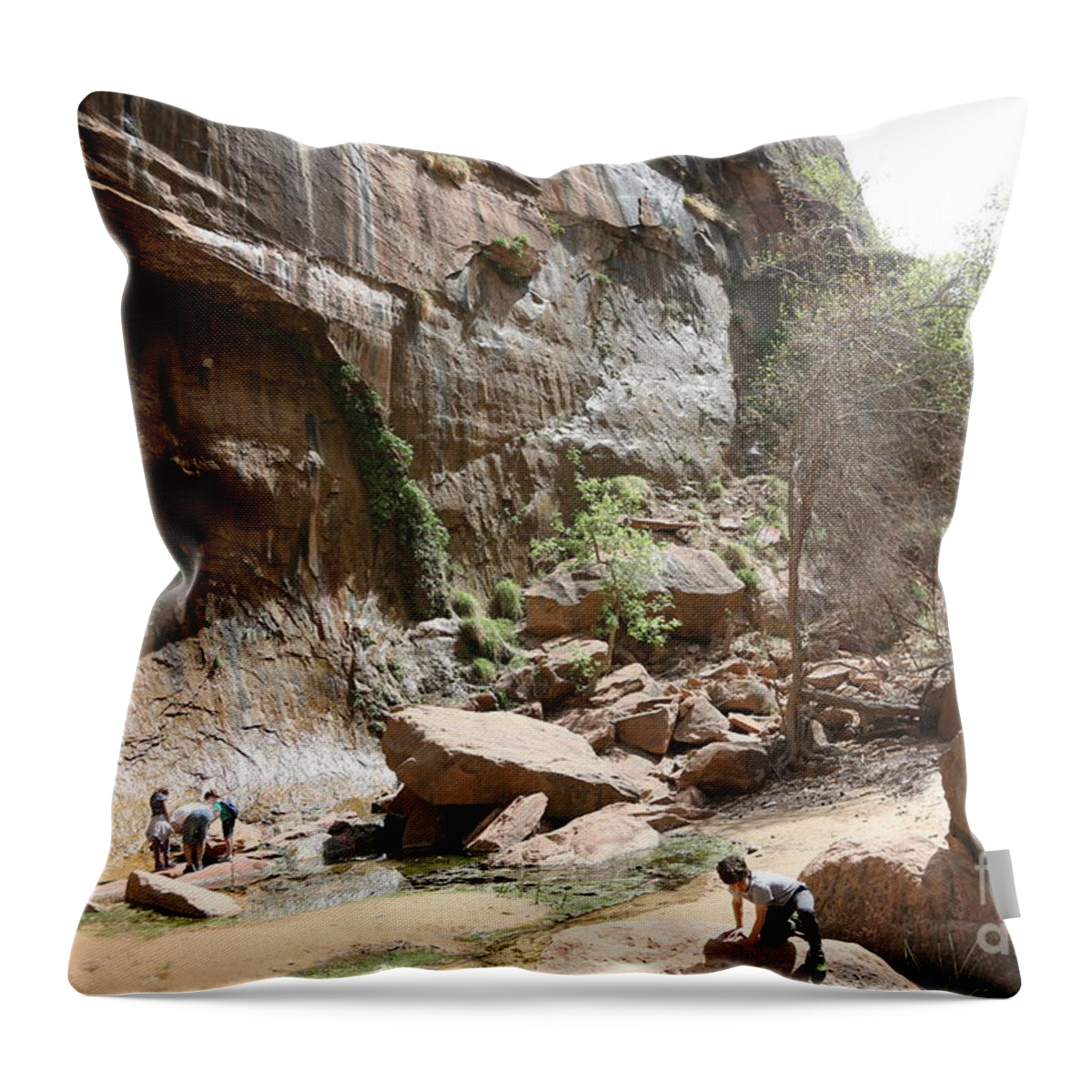 Zion Throw Pillow featuring the photograph Family Zion Natural Park Utah by Chuck Kuhn
