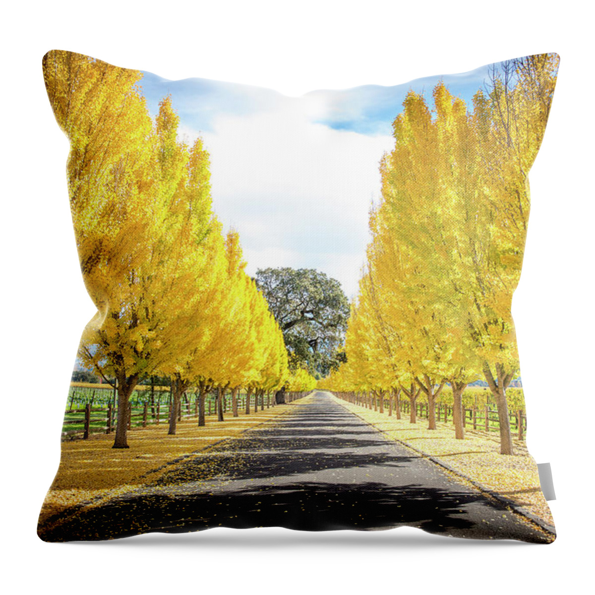 Far Niente Winery Throw Pillow featuring the photograph Far Niente Driveway by Aileen Savage
