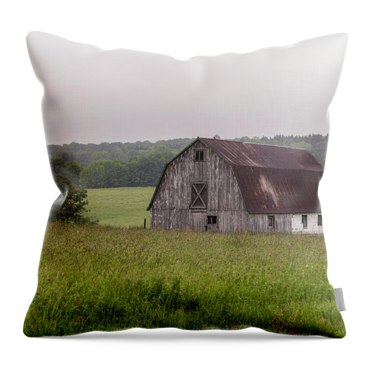 Farm Throw Pillow featuring the photograph Farm Country by Rod Best