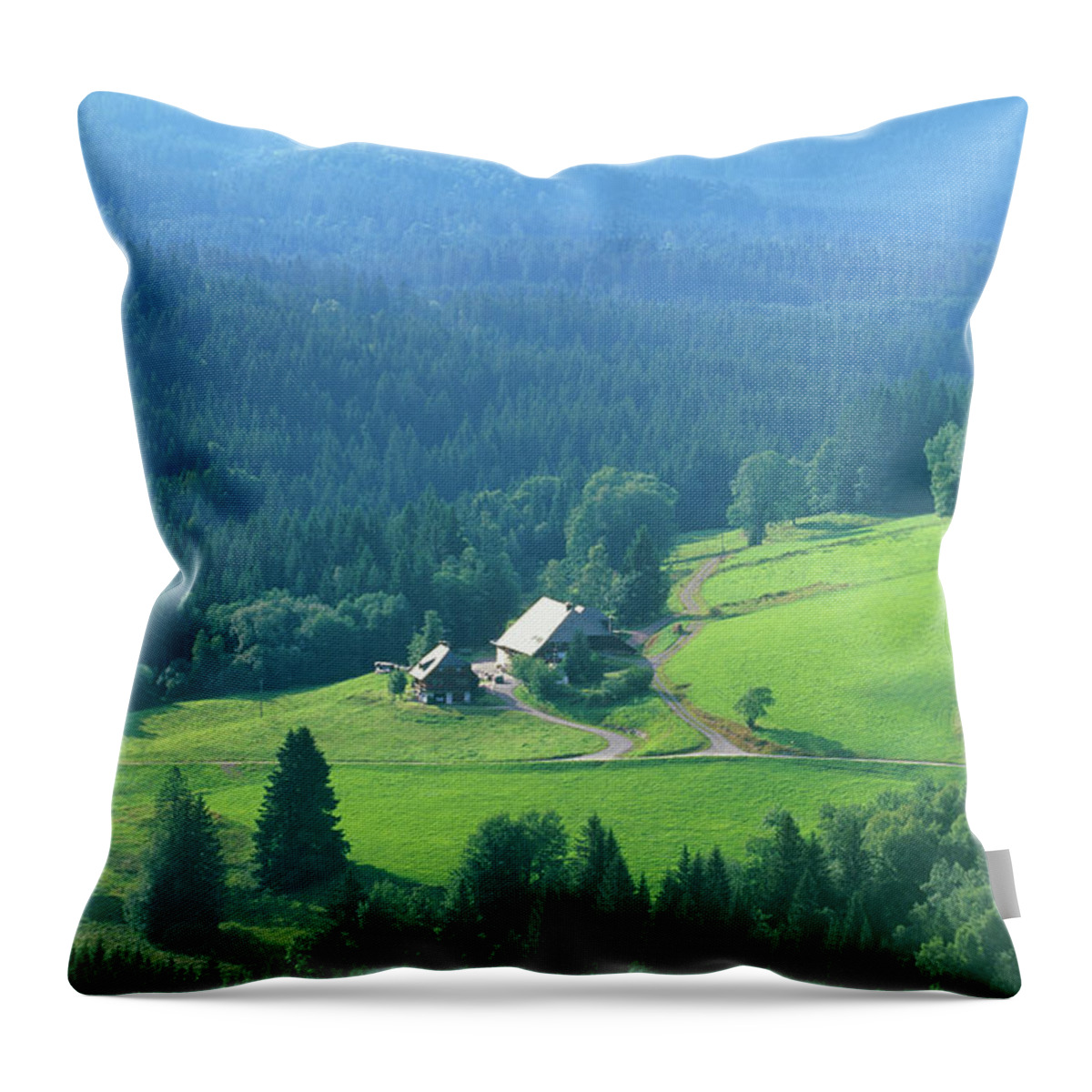 Scenics Throw Pillow featuring the photograph Farm In Black Forest by Martial Colomb