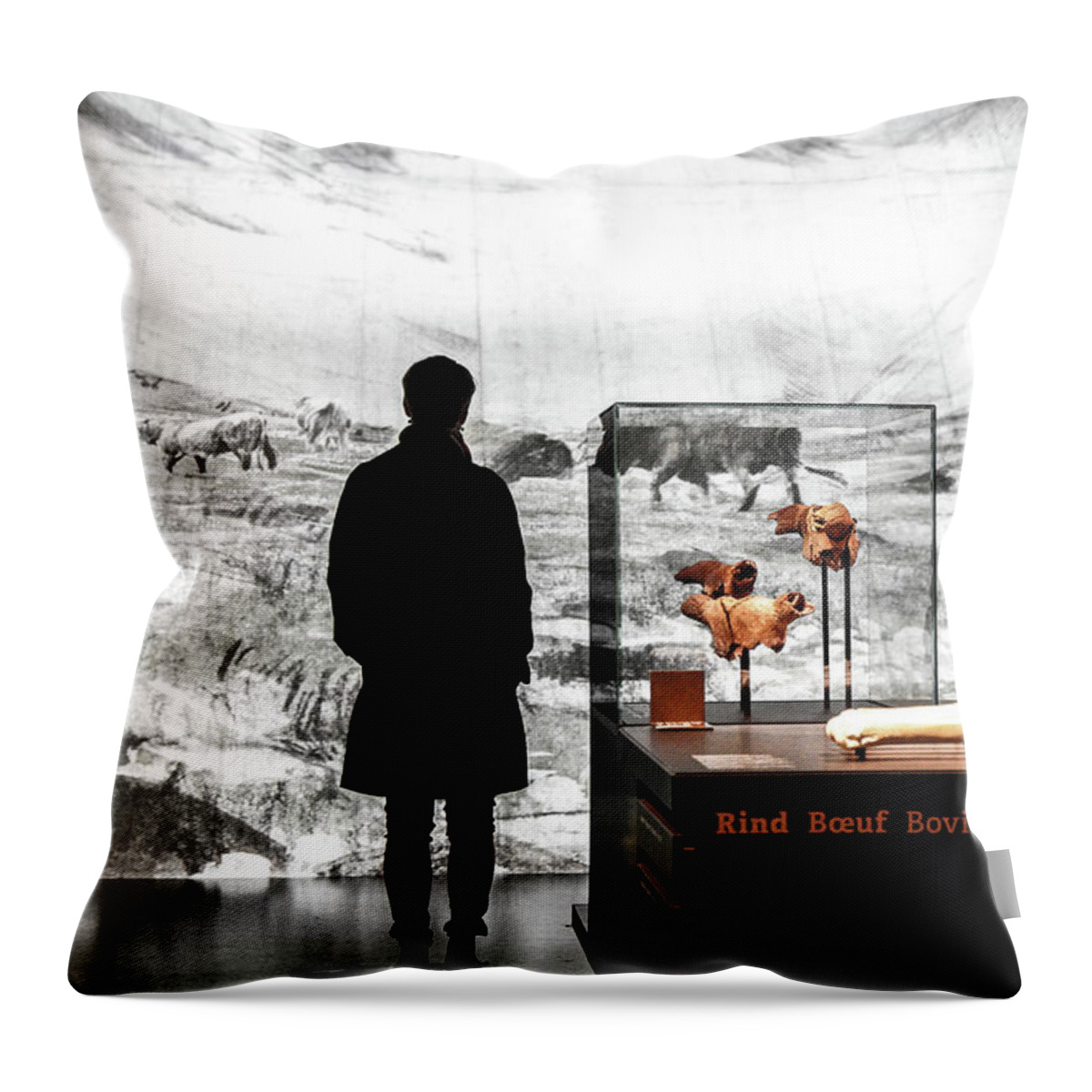 Zurich Throw Pillow featuring the photograph Fascinated by Christopher Brown