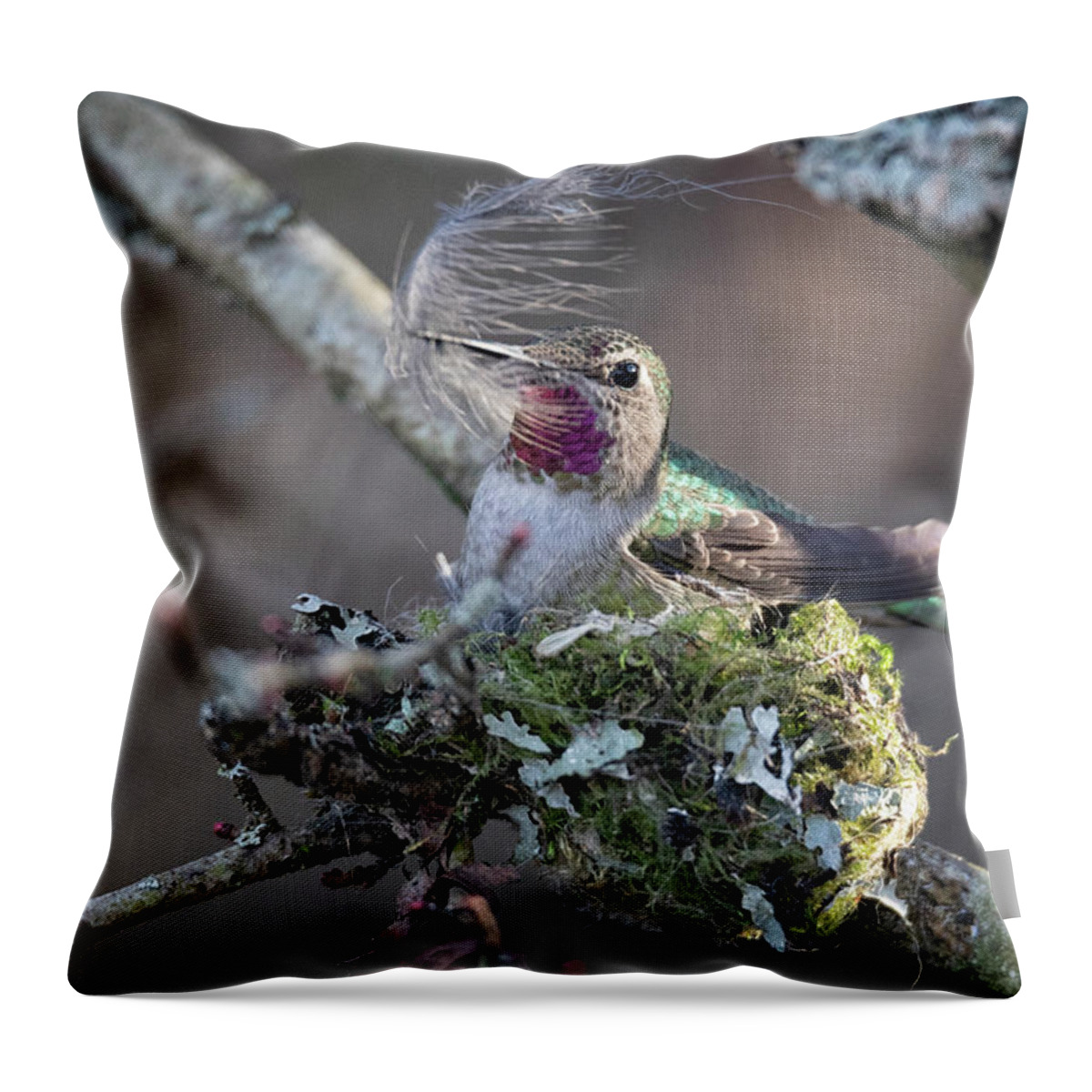 Anna's Hummingbird Throw Pillow featuring the photograph Feather Bed by Randy Hall