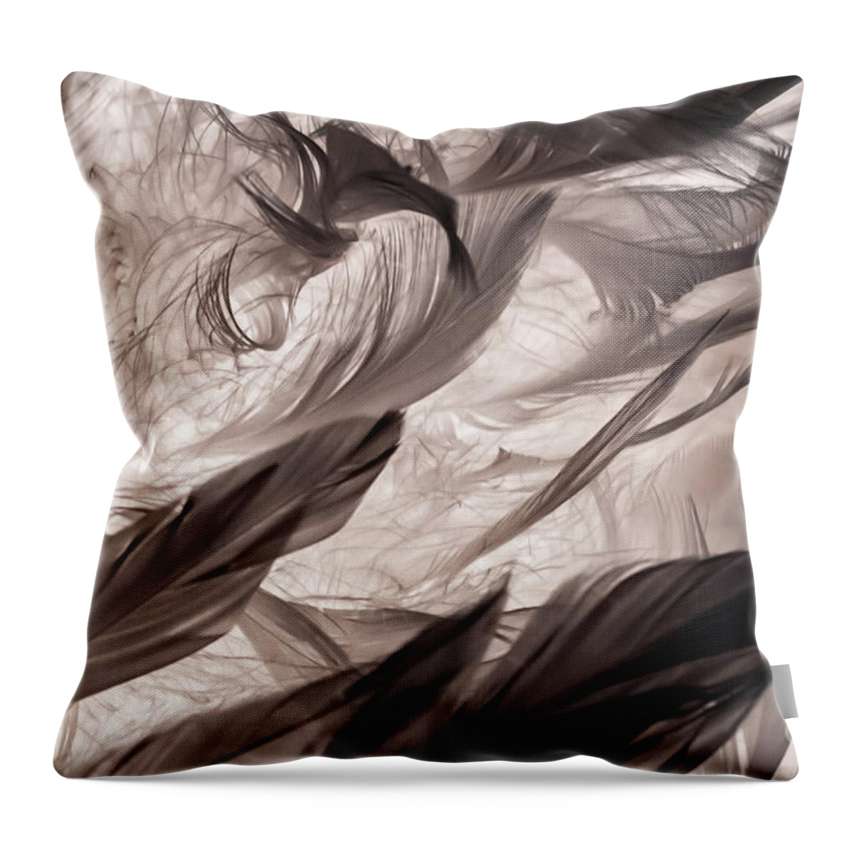 Feather Throw Pillow featuring the photograph Feathers by Lyl Dil Creations