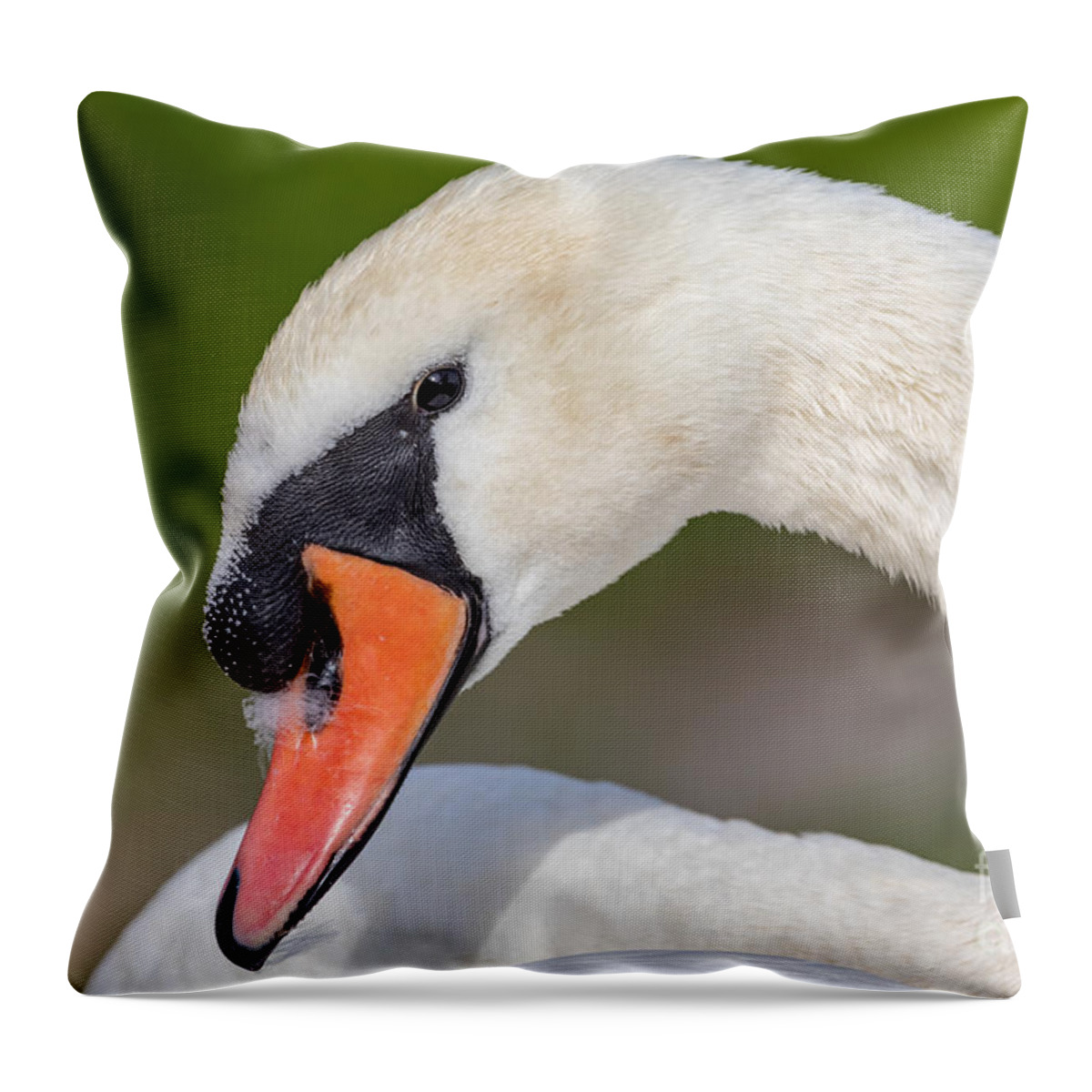 Photography Throw Pillow featuring the photograph Feather stuck on the nares by Alma Danison