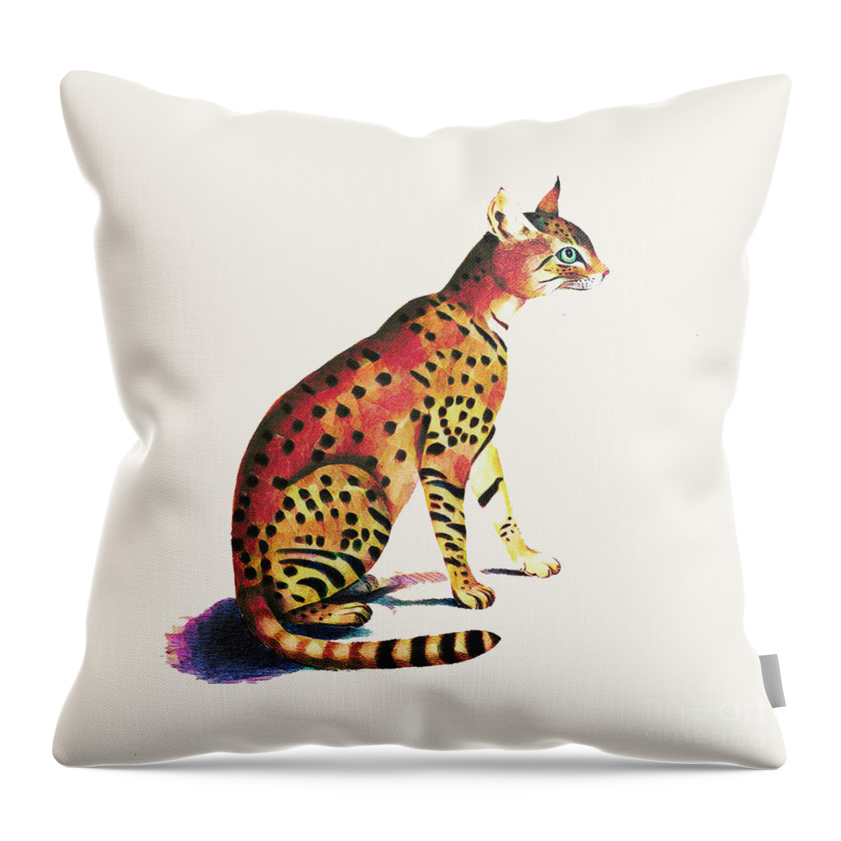 Cat Throw Pillow featuring the photograph Felis Ornata by Jack Torcello