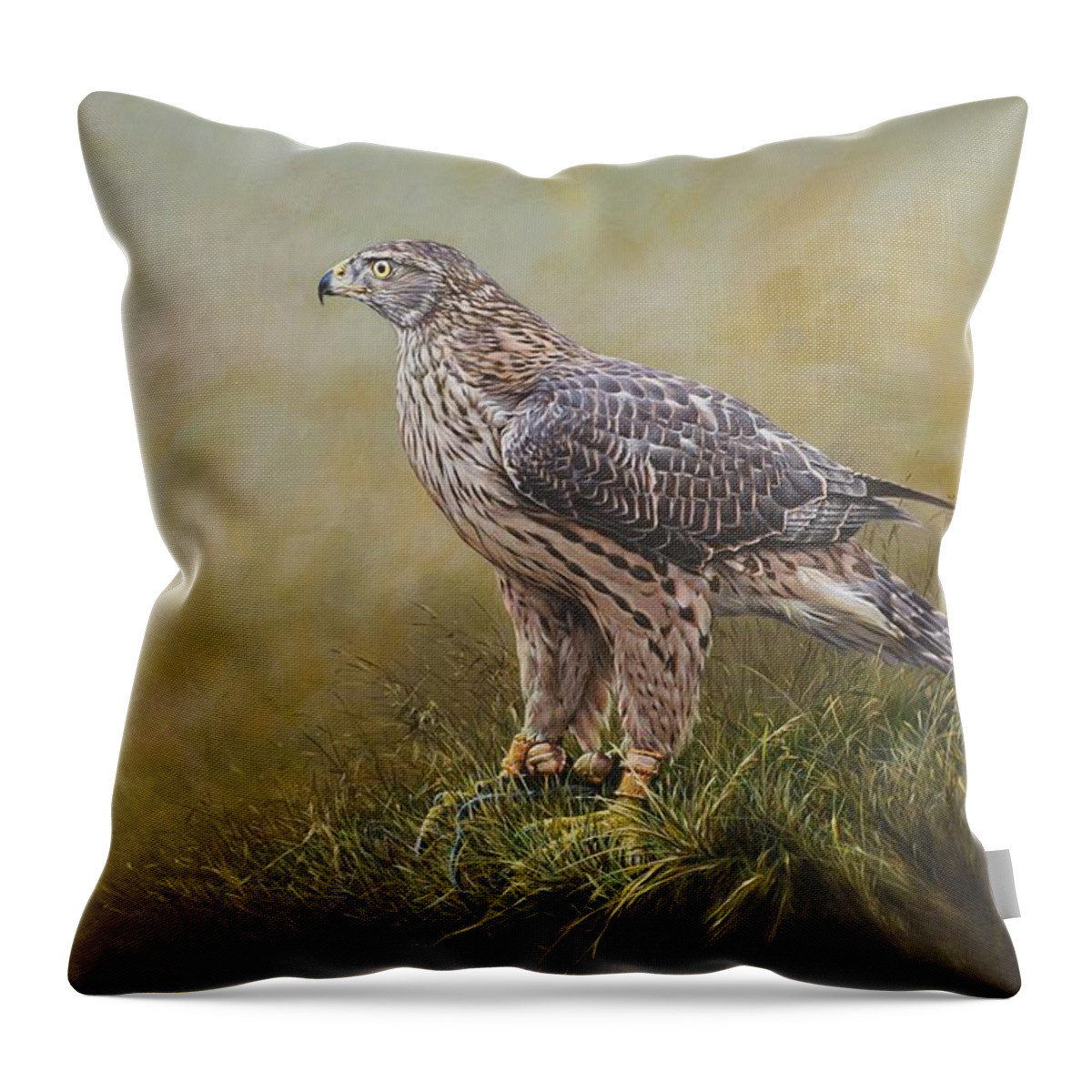 Goshawk Throw Pillow featuring the painting Female Goshawk Paintings by Alan M Hunt