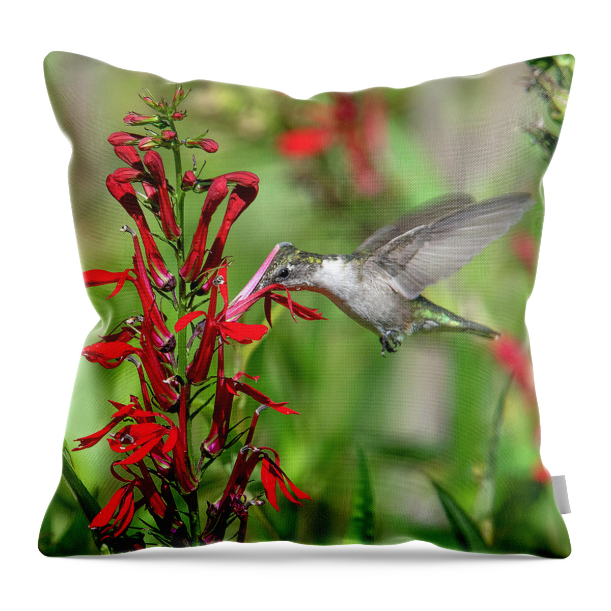 Nature Throw Pillow featuring the photograph Female Ruby-throated Hummingbird DSB0323 by Gerry Gantt