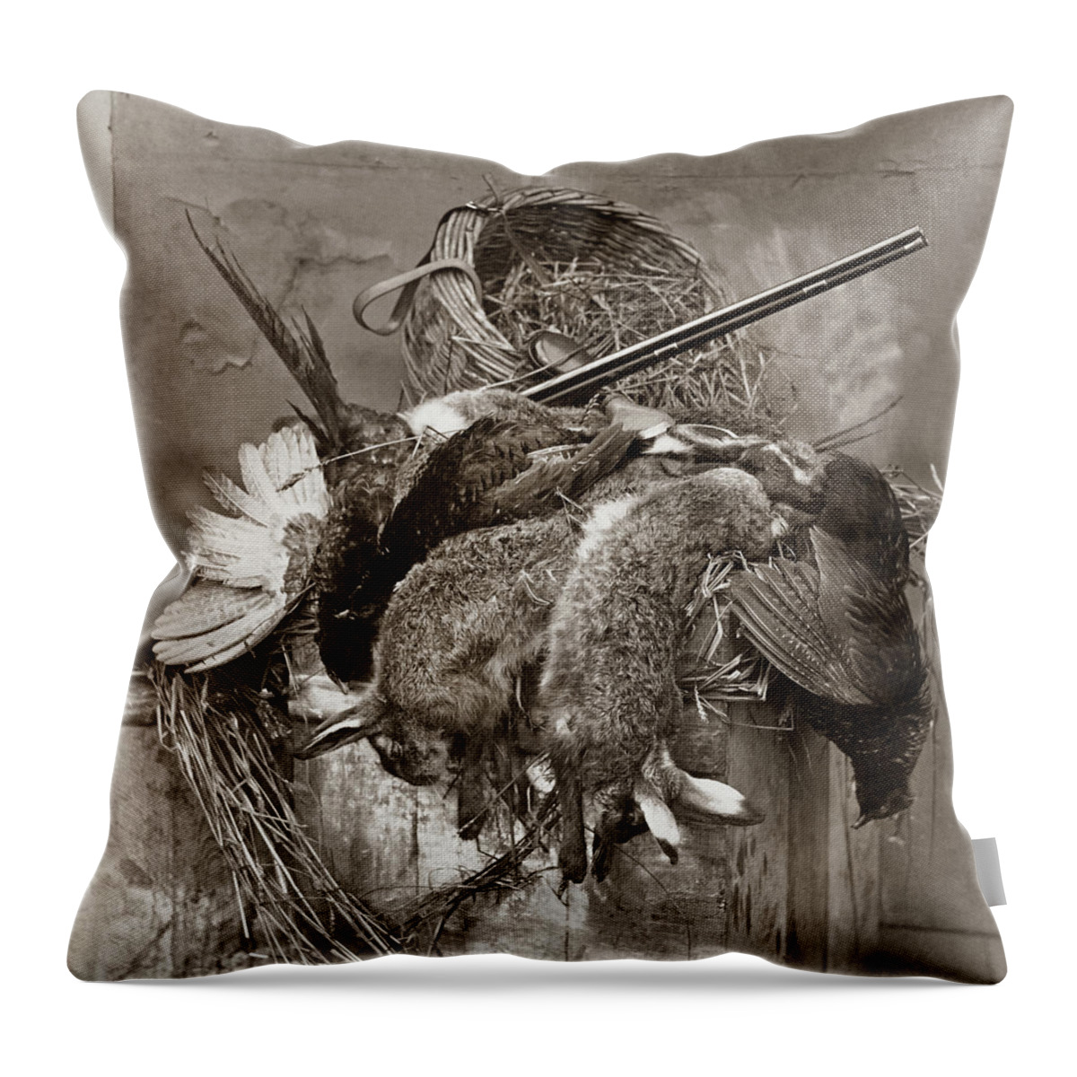 B1019 Throw Pillow featuring the photograph Still Life, C1859 by Roger Fenton