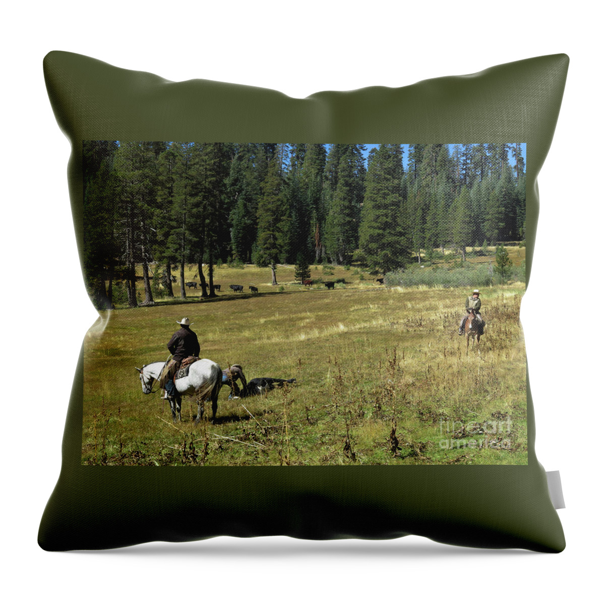 Horses Throw Pillow featuring the photograph Field Doctoring by Diane Bohna