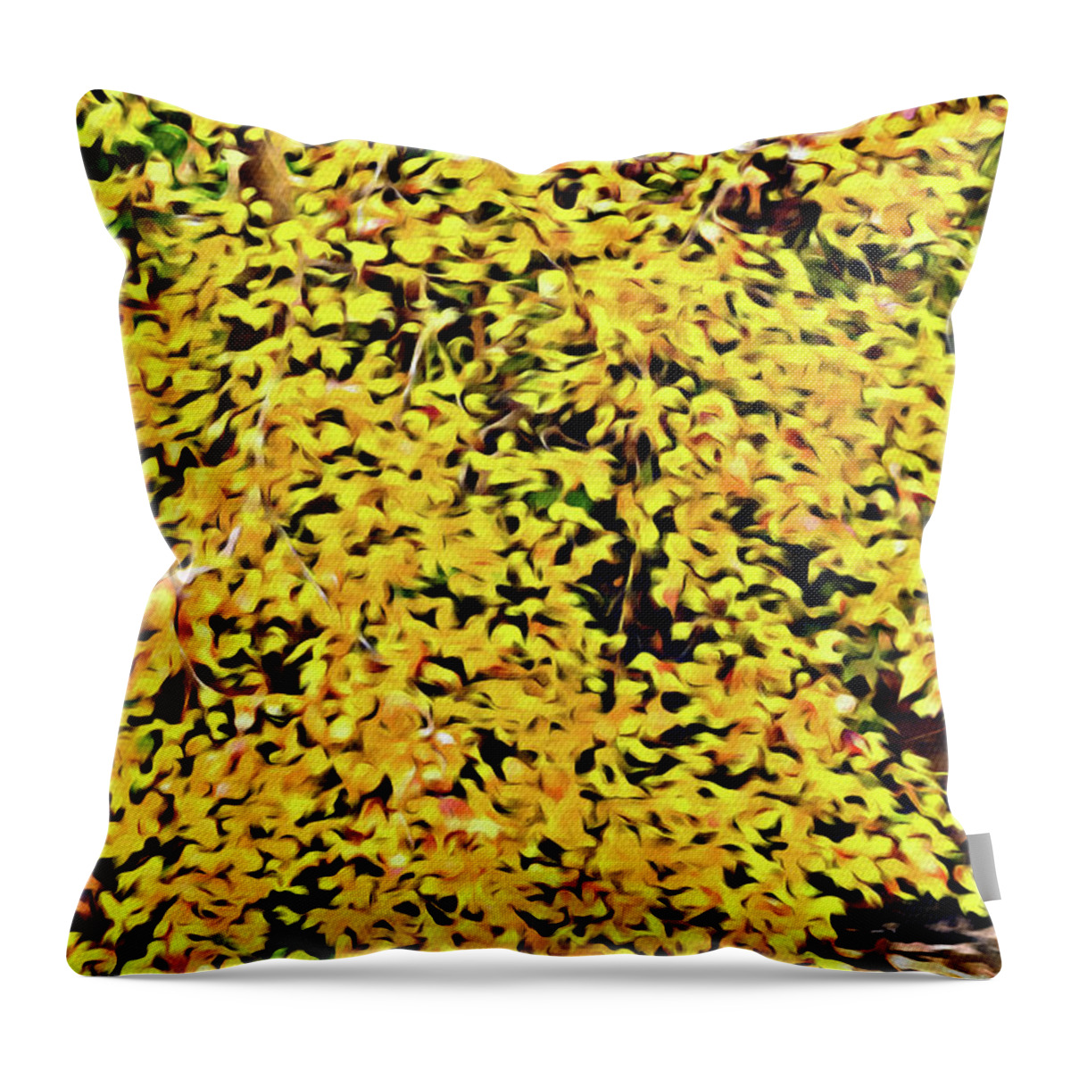 Autumn Throw Pillow featuring the photograph Field of Yellow by Darryl Brooks