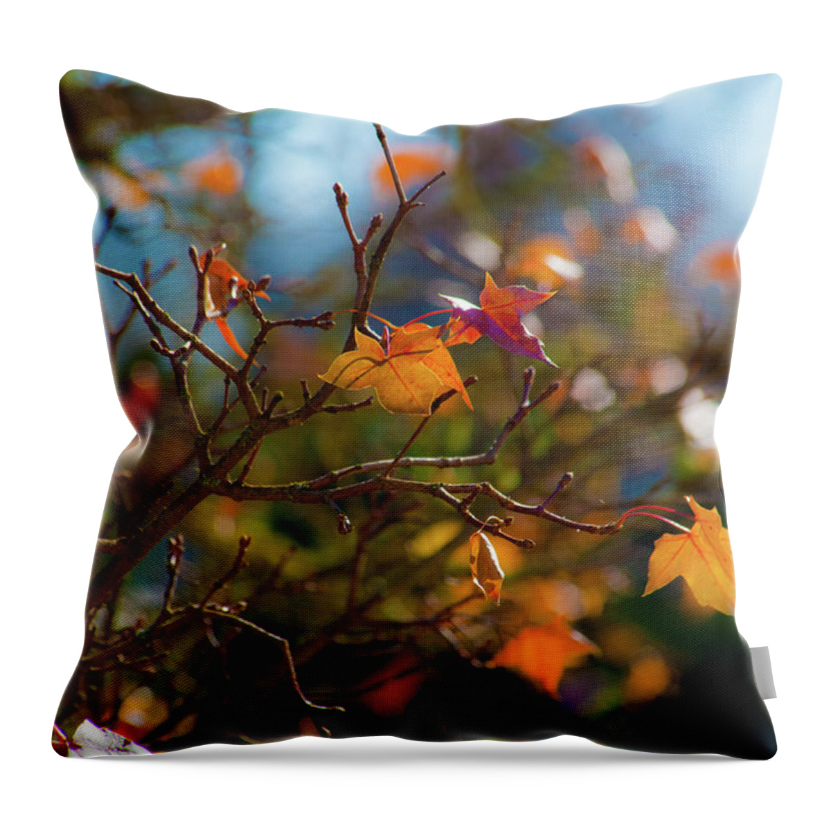 Fall Leaves Throw Pillow featuring the photograph Fiery Autumn by Bonnie Bruno