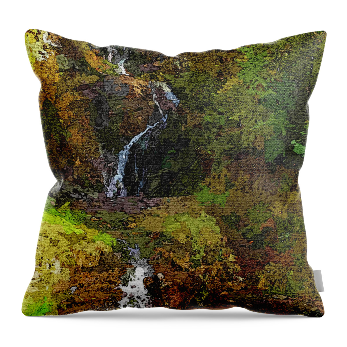 Fiest Throw Pillow featuring the photograph Fiest Creek Falls by Robert Bissett