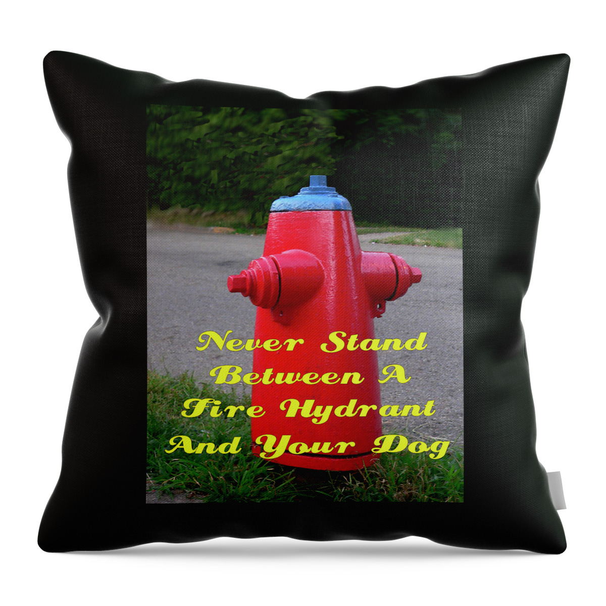 Poster Throw Pillow featuring the photograph Fire Hydrant Advice by Kathy K McClellan