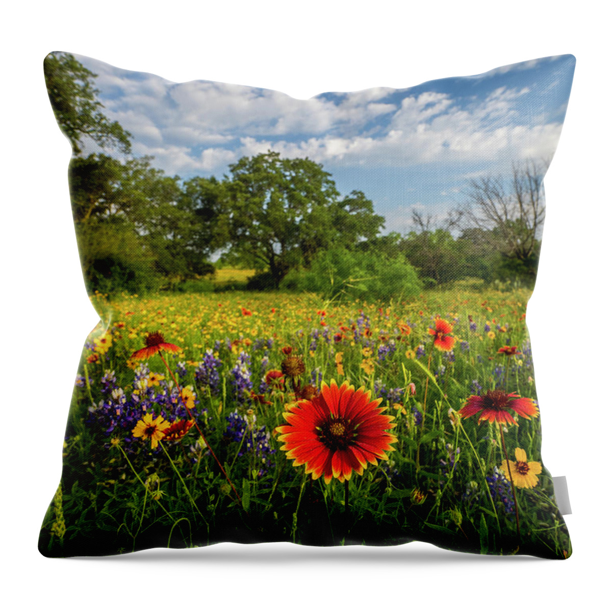 Texas Wildflowers Throw Pillow featuring the photograph Fire Wheel by Johnny Boyd