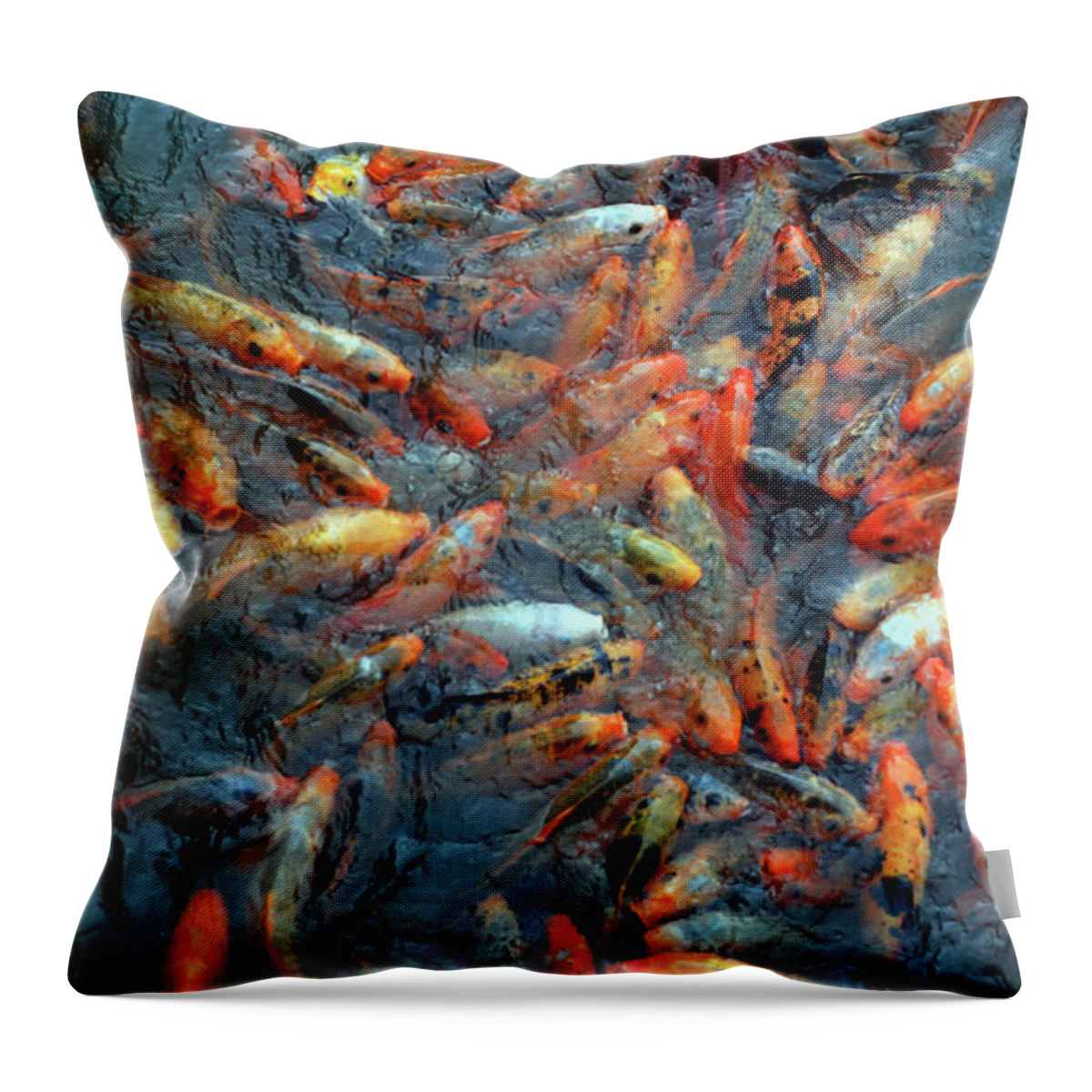 Underwater Throw Pillow featuring the photograph Fish Fight by Thomas Carroll