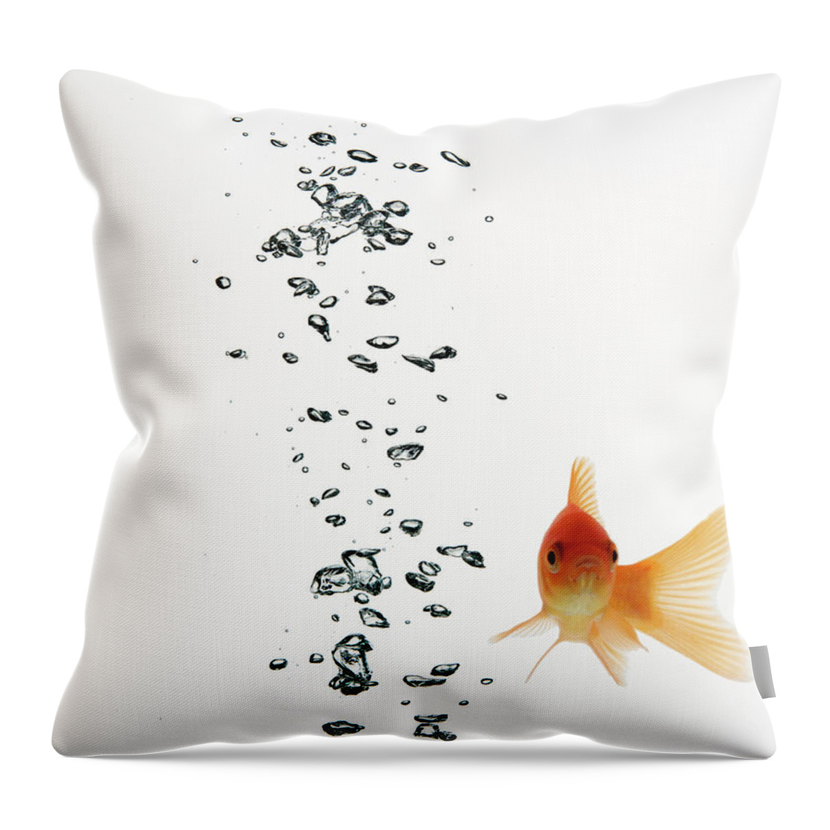 Underwater Throw Pillow featuring the photograph Fish Swimming With Bubbles Water by Walter Zerla