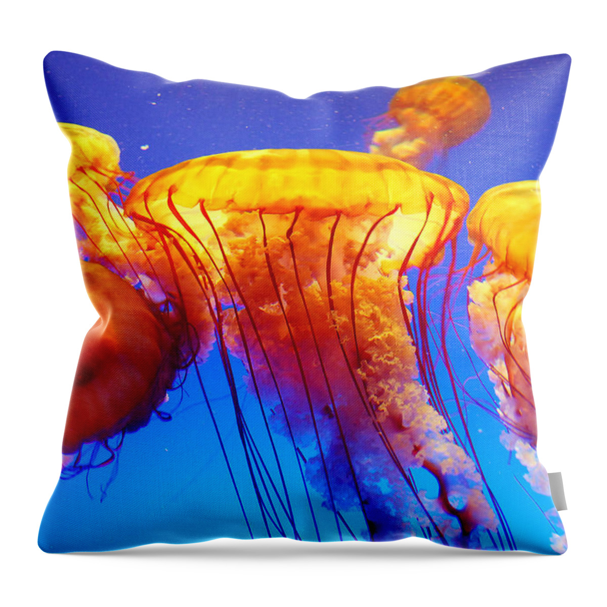 Atlanta Throw Pillow featuring the photograph Five Golden Rings by Copyright © Steve Grundy (stgrundy)