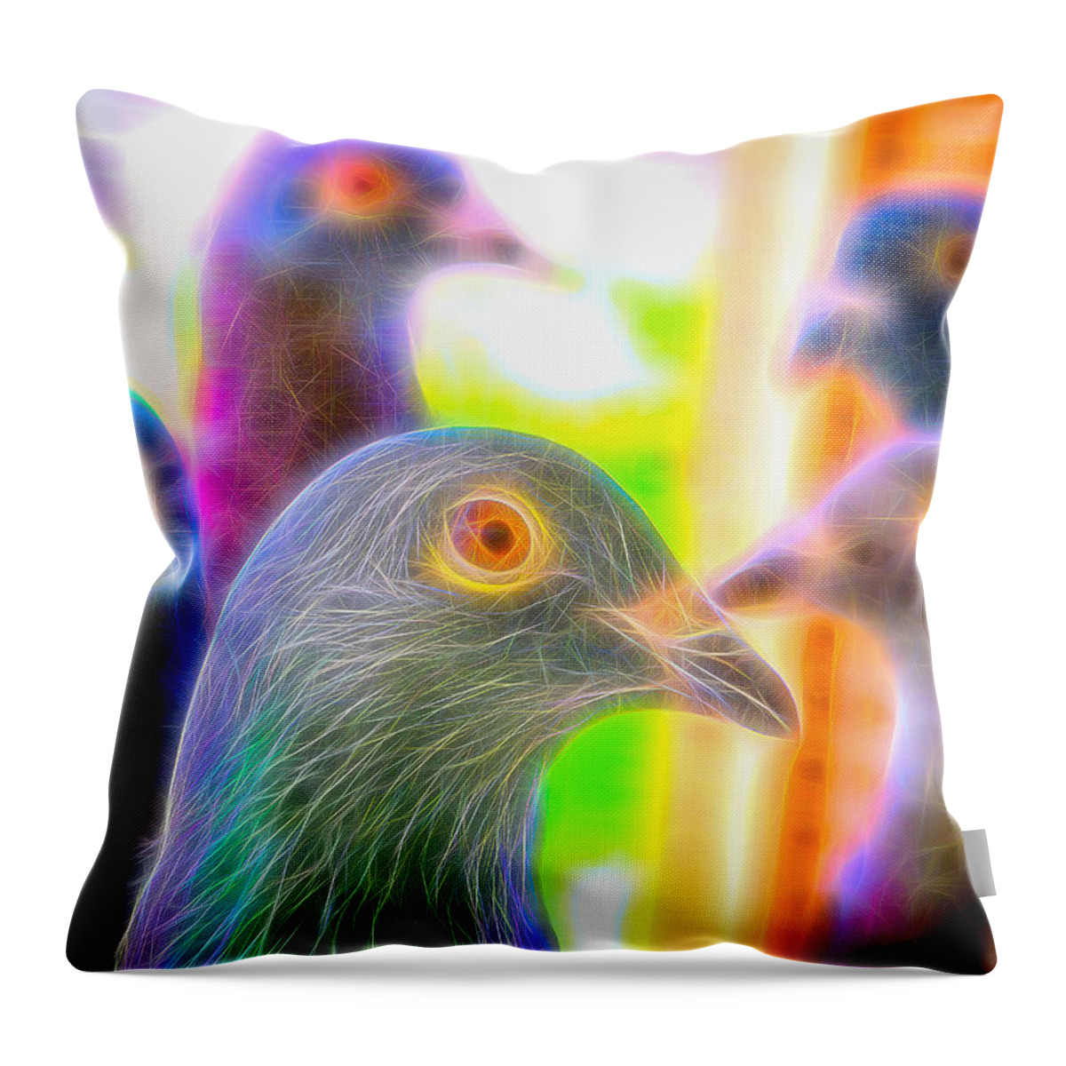 Pigeon Throw Pillow featuring the photograph Five Homing Pigeons Fibers by Don Northup