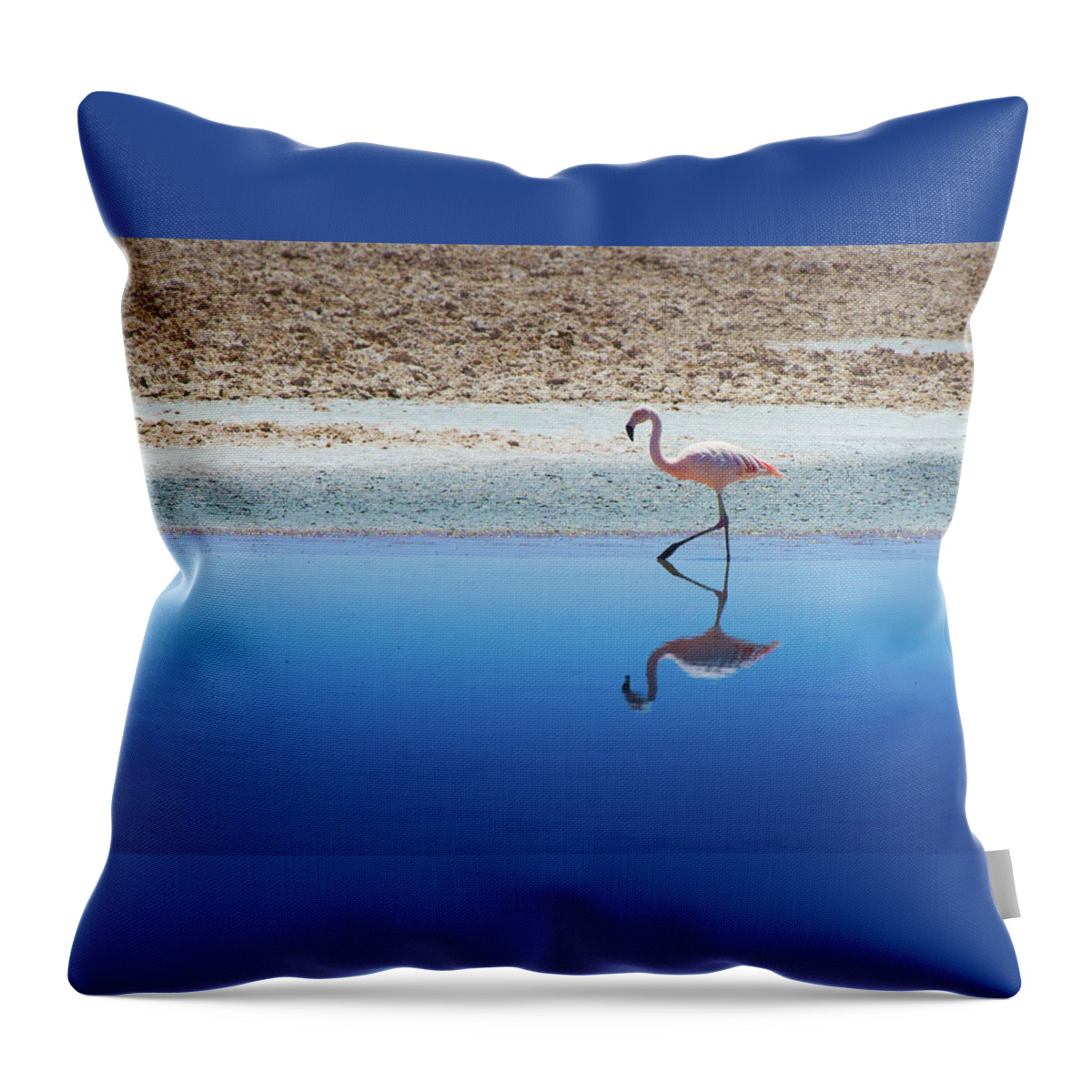 Tranquility Throw Pillow featuring the photograph Flamingo by Macnuel