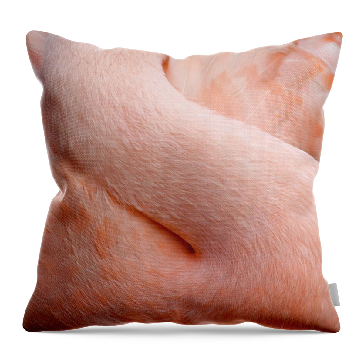 Curve Throw Pillow featuring the photograph Flamingo Neck by Mathew Spolin