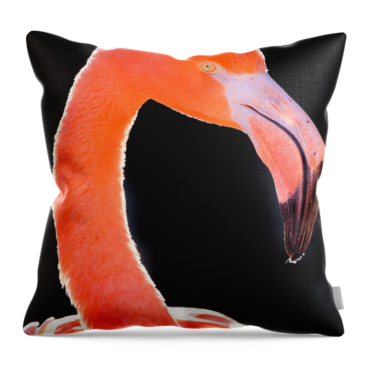 Bird Photography Throw Pillow featuring the photograph Flamingo by Nicole Young