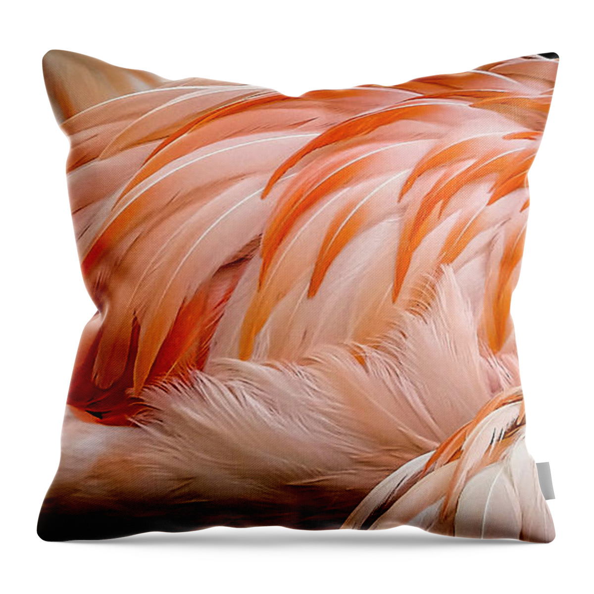 2019-10-06 Throw Pillow featuring the photograph Flamingo by Phil And Karen Rispin