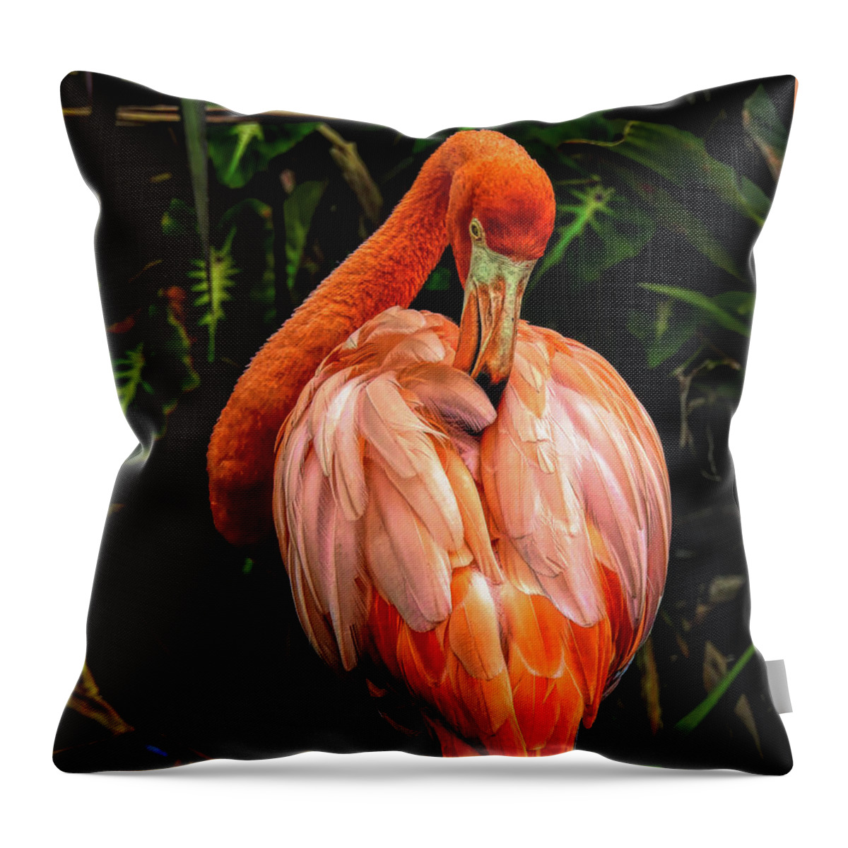 Flamingo Throw Pillow featuring the photograph Flamingo Ruffles Some Feathers by Robert Stanhope