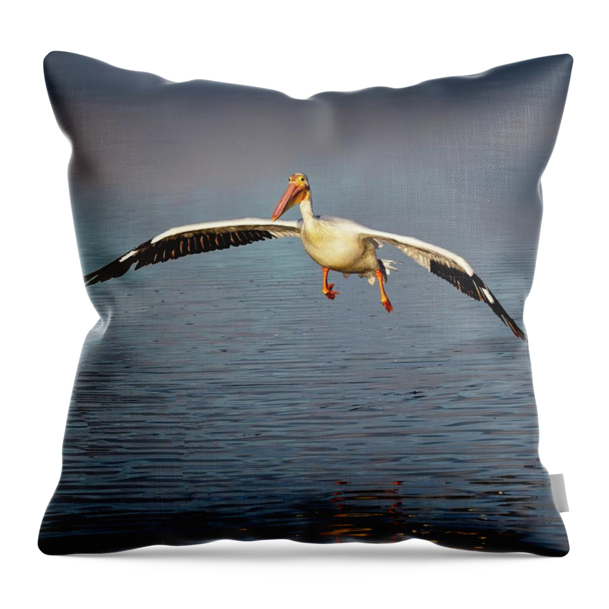 White Throw Pillow featuring the photograph Flaps Down by Ronald Lutz