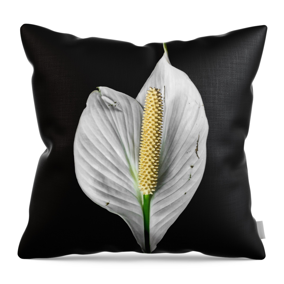 Floral Throw Pillow featuring the photograph Flawed Beauty by Nathan Little