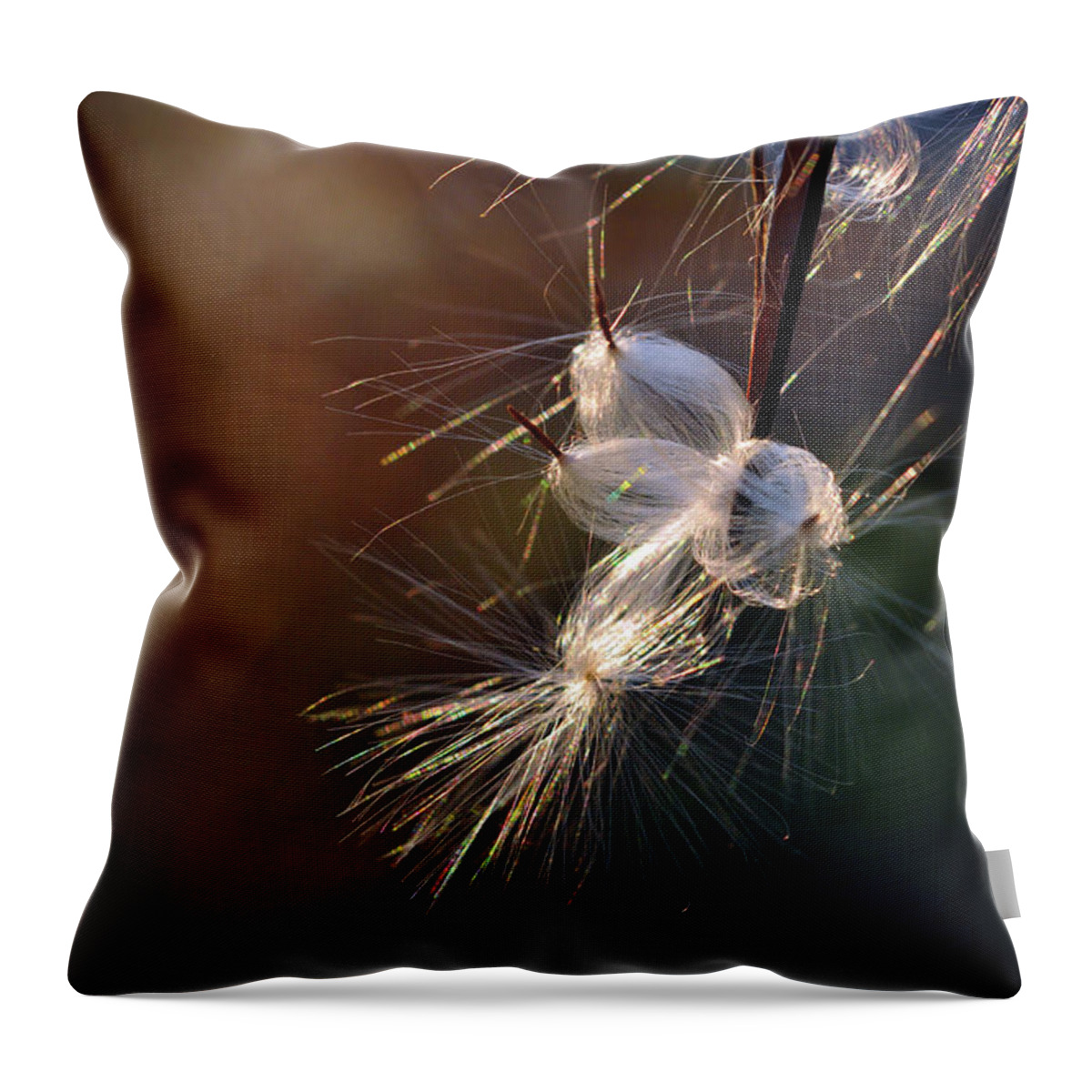 Milkweed Throw Pillow featuring the photograph Flight by Michelle Wermuth