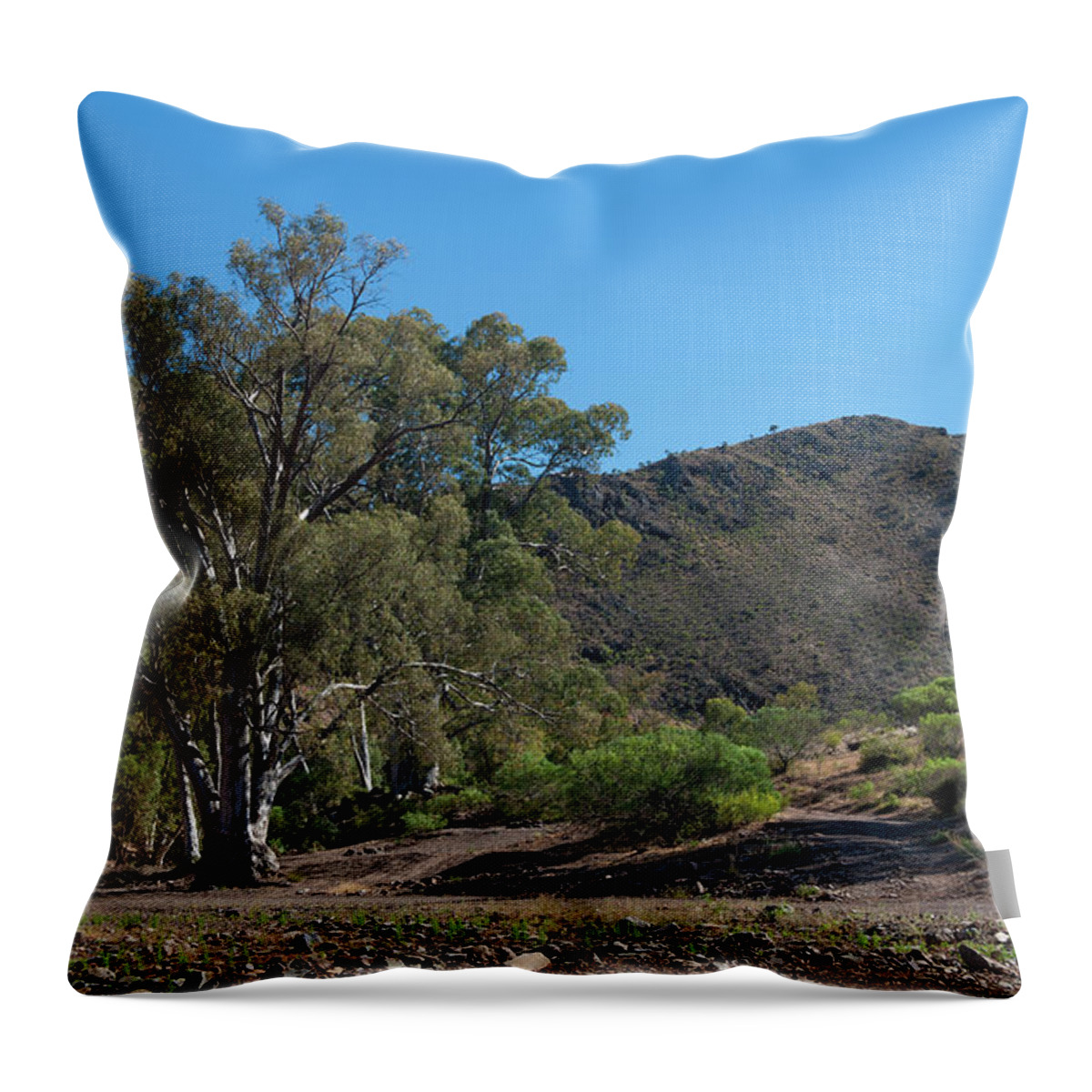 Tranquility Throw Pillow featuring the photograph Flinders Ranges by Greg Newington