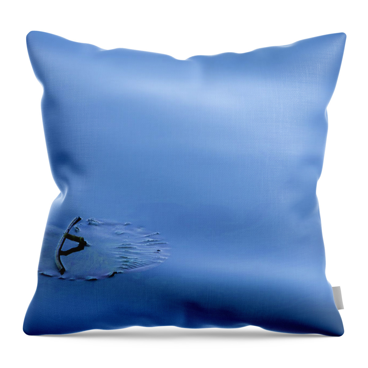 Appleton Throw Pillow featuring the photograph Float On by Lauri Novak