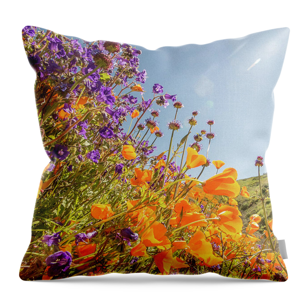 Flowers Throw Pillow featuring the photograph Flora 10 by Ryan Weddle