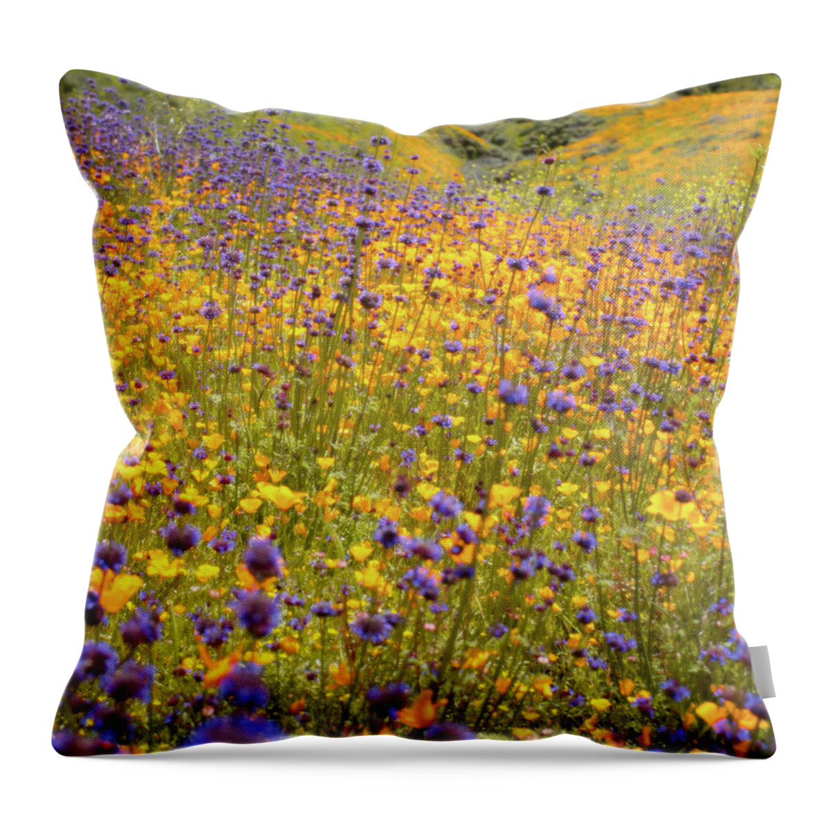 Flowers Throw Pillow featuring the photograph Flora 6 by Ryan Weddle