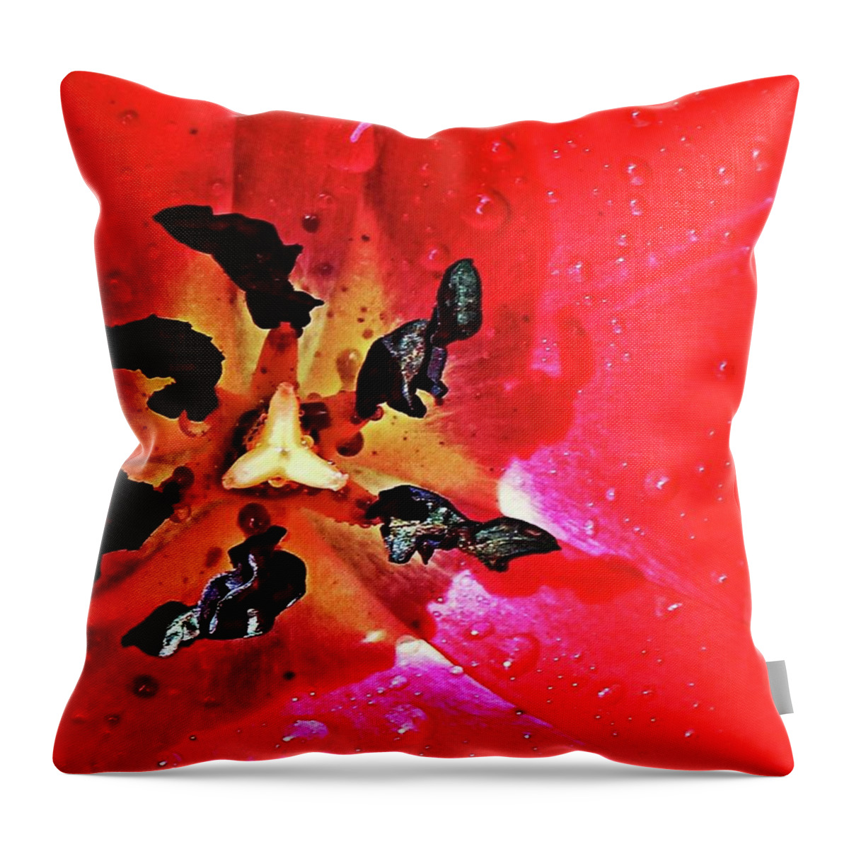 Flower Throw Pillow featuring the photograph Floral Close Up by Martin Smith