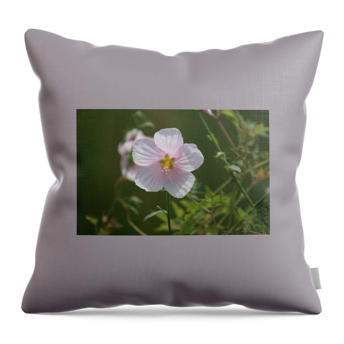 Florida Throw Pillow featuring the photograph Florida Flowers by Lindsey Floyd