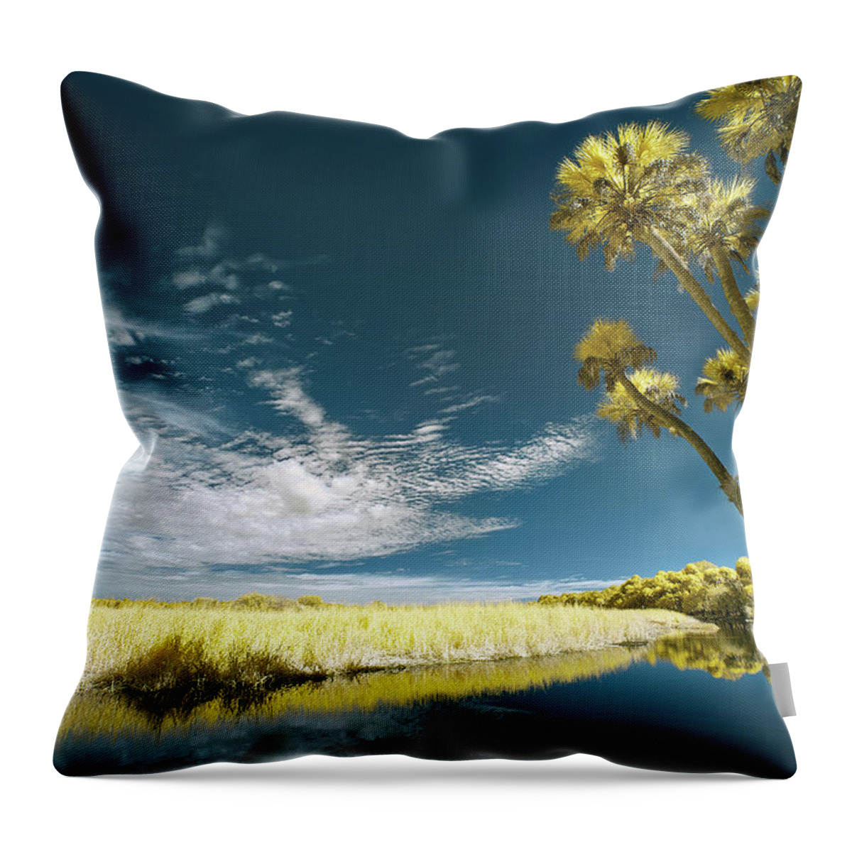 Jon Glaser Throw Pillow featuring the photograph Florida State Park by Jon Glaser