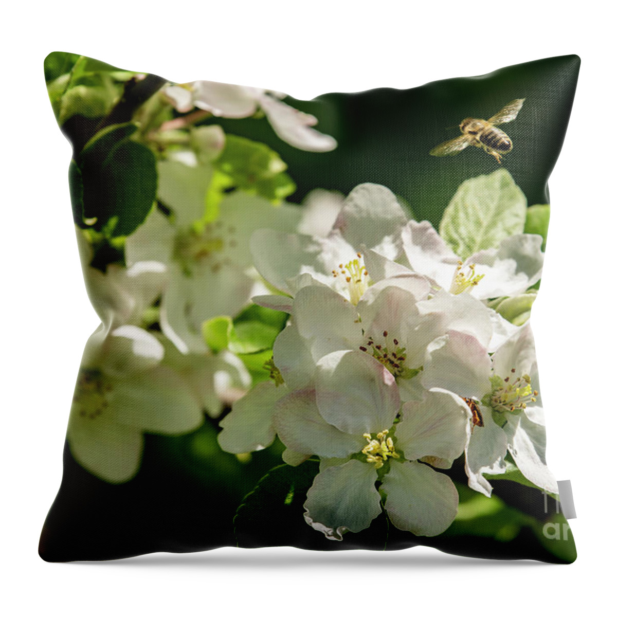 Bee Throw Pillow featuring the photograph Flower Hopping by JT Lewis