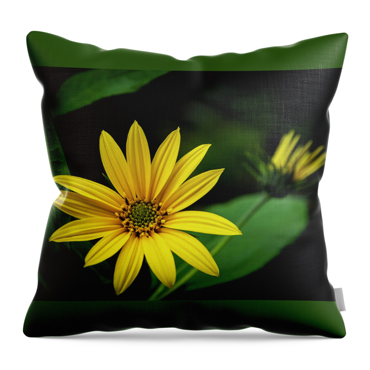 Maine Throw Pillow featuring the photograph Flower Without Sun by Ray Silva