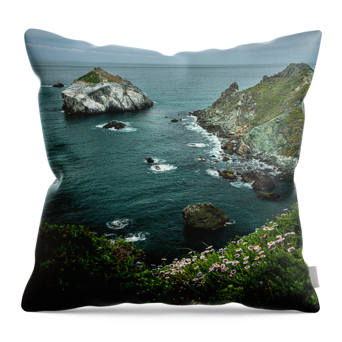 Shoreline Throw Pillow featuring the photograph Flowers along the Shore 2 by Rick Strobaugh