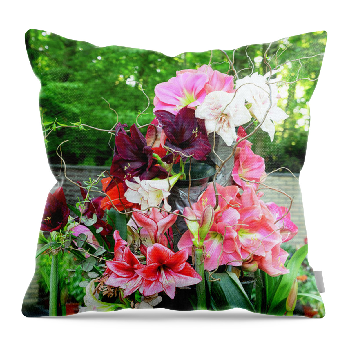 Arrangement Throw Pillow featuring the photograph Amaryllis Hippeastrum flowers by Anastasy Yarmolovich