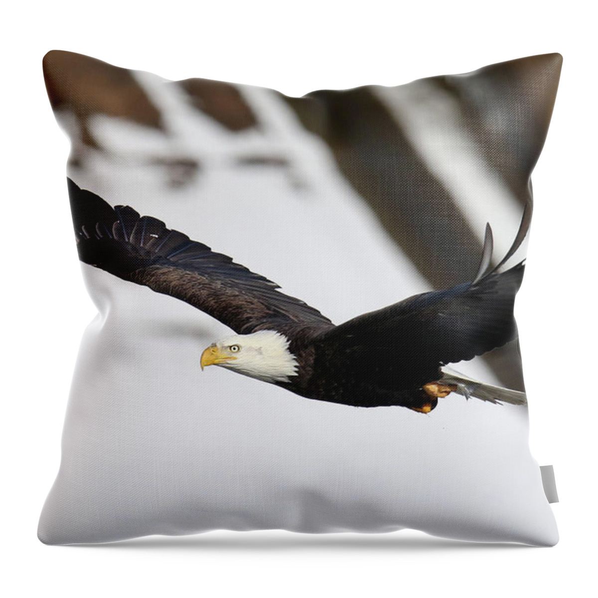 Bald Eagle Throw Pillow featuring the photograph Fly By Eagle by Brook Burling