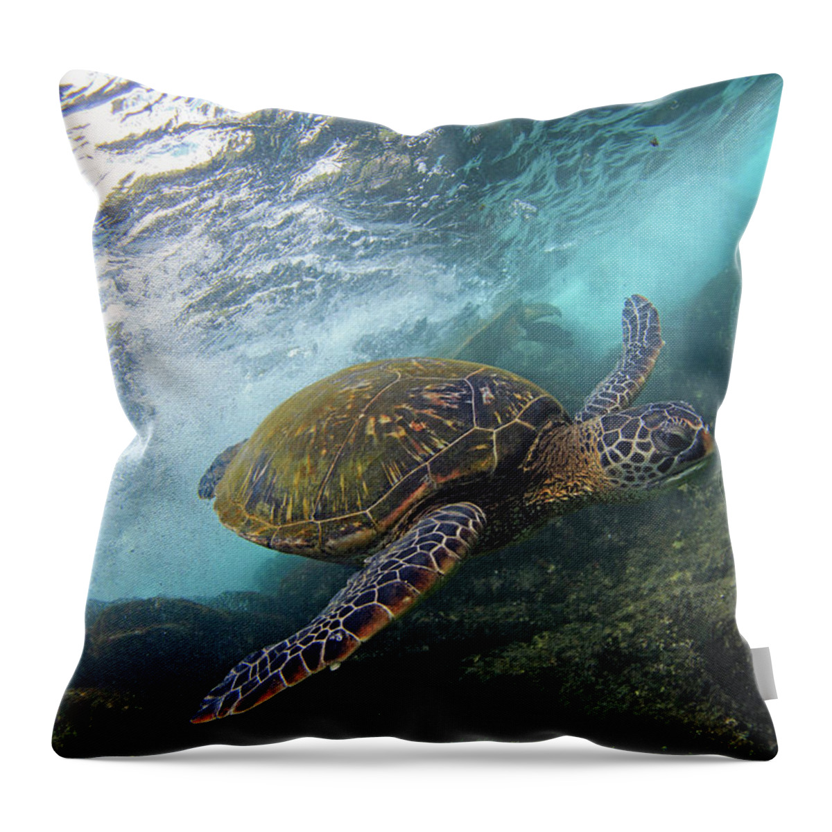 Maui Green Sea Turtle Ocean Throw Pillow featuring the photograph Flyby by James Roemmling