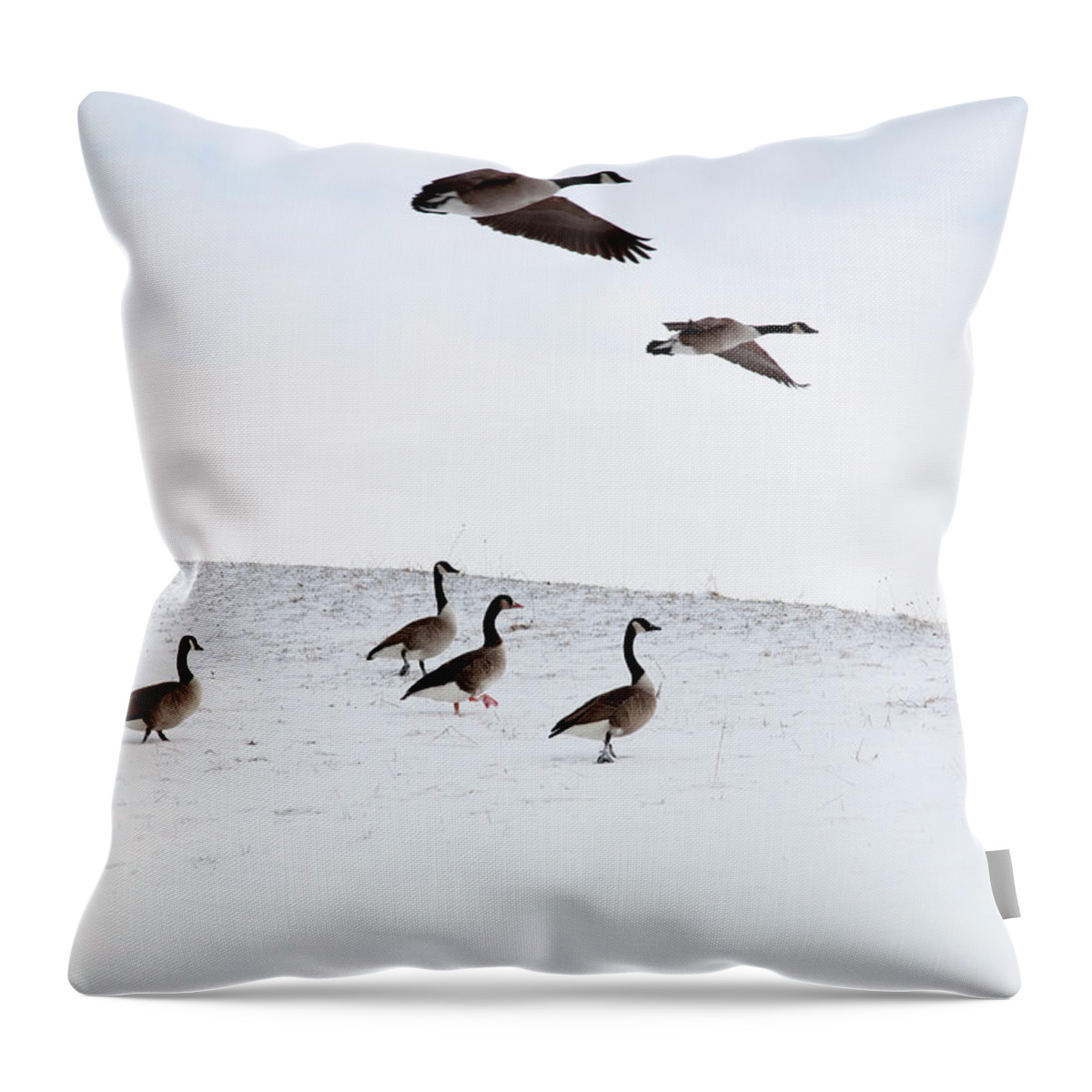 Snow Throw Pillow featuring the photograph Flying Geese In Snowy Landscape by Henglein And Steets